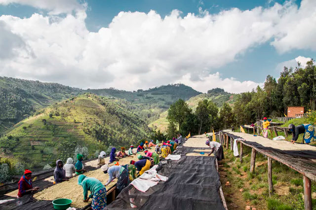 Rwanda Dukunde Kawa