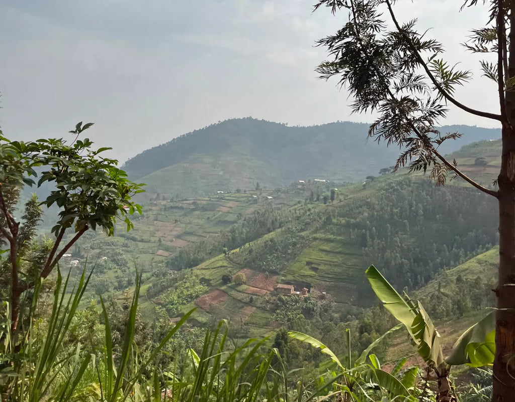 Rwanda Dukunde Kawa