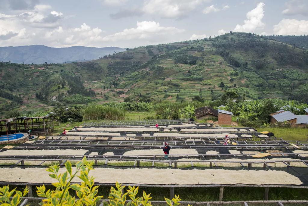 Rwanda Dukunde Kawa