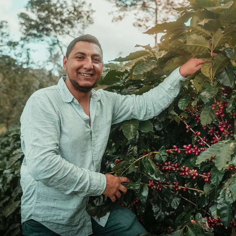 Hidardo op zijn koffieplantage in Honduras