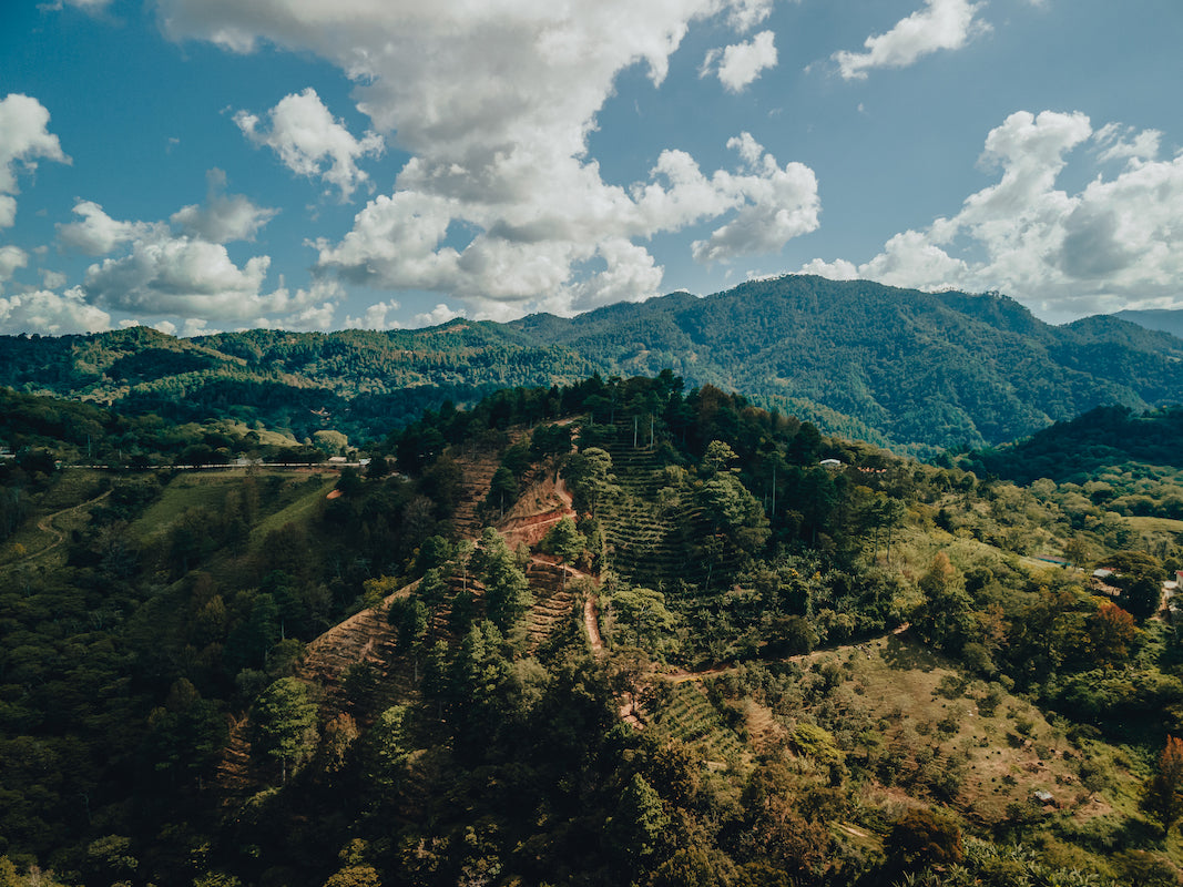 Landschap en koffieplantage in Ocotepeque, Honduras