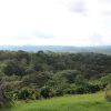 Colombia El Bombo - Afbeelding 3