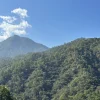 Finca Nuevo México - Afbeelding 8