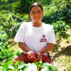 Finca Nuevo México - Afbeelding 4