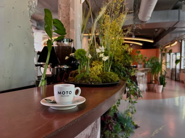 Moto Coffee at the office? 
Want to serve good concious and organic Coffee at your workplace?

At Moto, we help you bring your office coffee game to the next level:

☕️ Freshly roasted organic coffee 
☕️ Guidance in choosing the perfect coffee machine
☕️ Enjoy our tailored business packages 
☕️ Come taste and discover your favorite brew

Drop us a message or e-mail 📮 hello@motocoffee.nl 

📷 @oceanshaarlem 

#motocoffeeshots #specialtycoffee #organiccoffee #office #officelife #coffeeatwork #workspacecafe #coffeelovers #b2bcoffee #organic #faircoffee #goodcoffee #koffie #kantoor #kantoorinspiratie #goodconciousallorganic