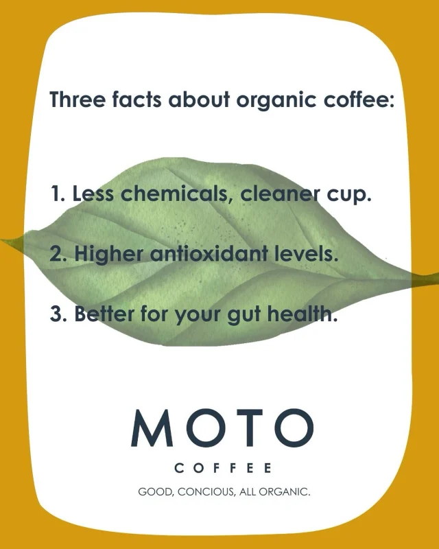 At Moto we care about your health.
That is why we choose 100% organic coffees. 🌱 

Three facts about organic coffee:

1. Less chemicals, cleaner cup. 
Organic coffee is growing without synthetic pesticides or herbicides, meaning you’re not ingesting harmful chemical residues with every cup. 

2. Higher antioxidant levels.
Studies suggest that organic coffee may contain more antioxidants, wich help fight inflammation and oxiadative stress in the body. 

3. Better for your gut health.
Organic farming preserves soil quality and microbial health, wich can lead to cleaner beans and fewer irritants. Good news for your digestion and gut balance. 

These are just three examples of what healthy organic coffee can do for you. What is your favorite? Share yours in the comments 👇🏽

#motocoffeeshots #organic #organiccoffee #health #healtylife #healthycoffee #lifestyle #coffee #koffie #goodconciousallorganic #specialtycoffee #sustainablelifestyle #sustainable #sustainablecoffee #coffeelover